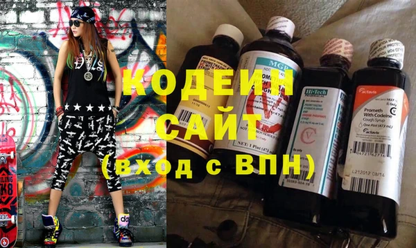индика Пестово