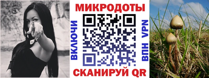 Галлюциногенные грибы прущие грибы  ссылка на мегу сайт  Пойковский 